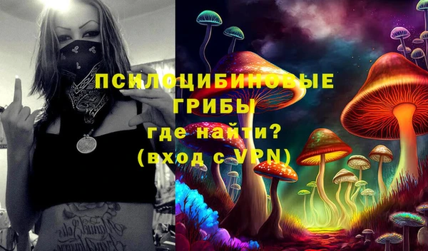 ECSTASY Алексеевка