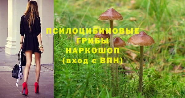 ECSTASY Алексеевка